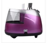 DSP Garment Steamer 2.5L / 2000W - Image 5