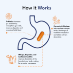 Original Provitalize | Natural Menopause Probiotics for Weight Gain, Hot Flashes, Night Sweats, Low Energy, Mood Swings, Gut Health. Unique Probiotics Formula - Image 5